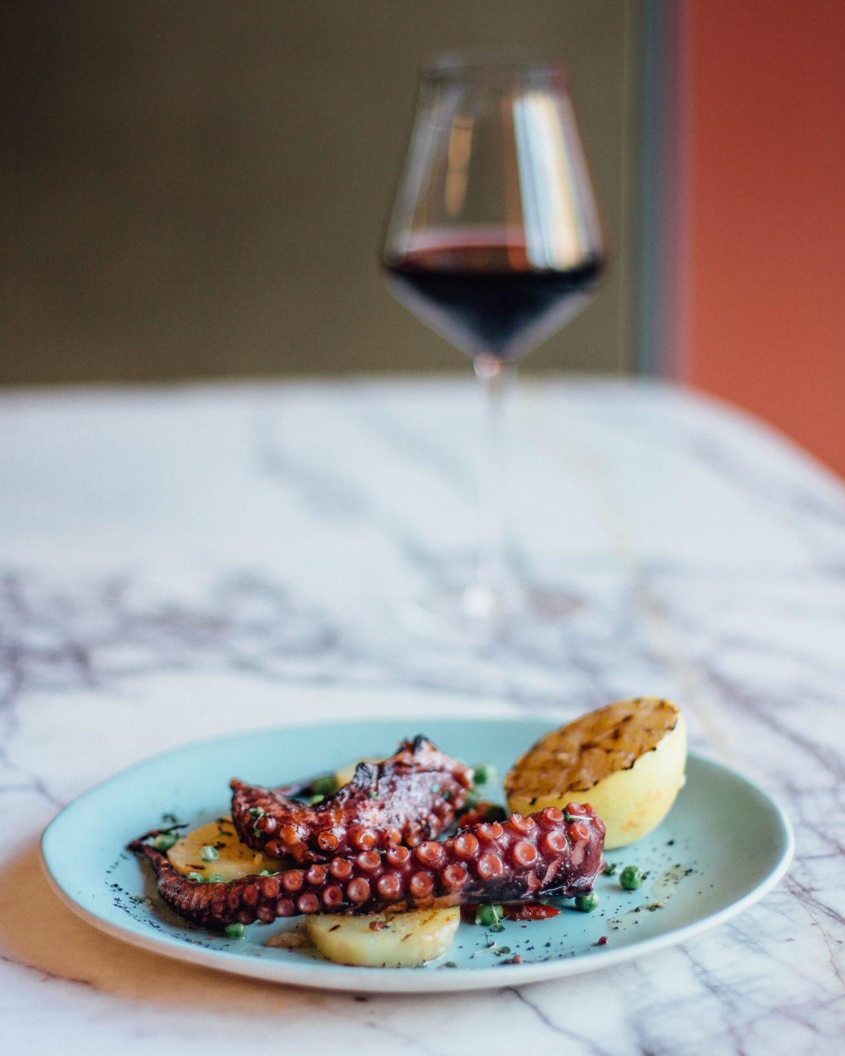 Octopus wine pairing: six ideas for what pairs well - The Wine Wiki